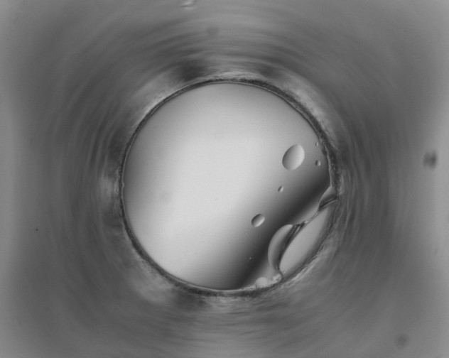 X0000094451281200711151419