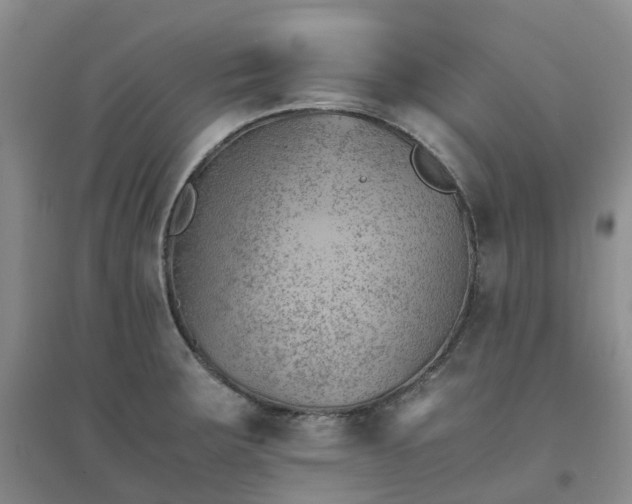 X0000094451283200711151419