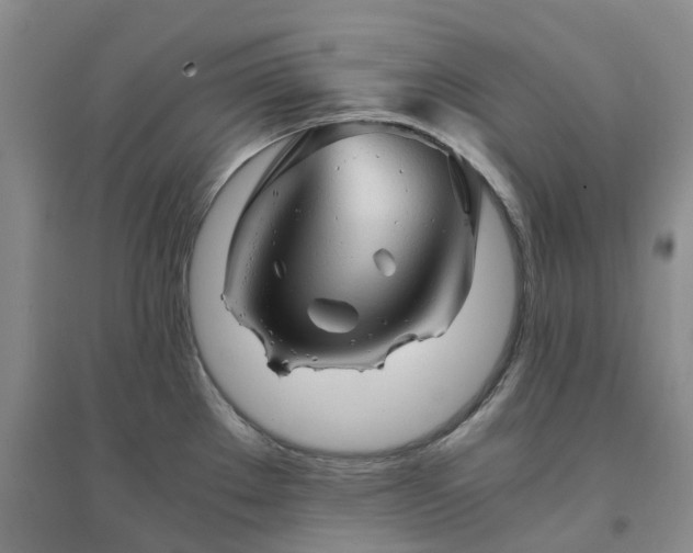 X0000094451289200711151419