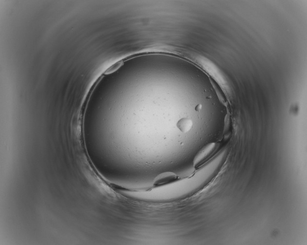 X0000094451292200711151419