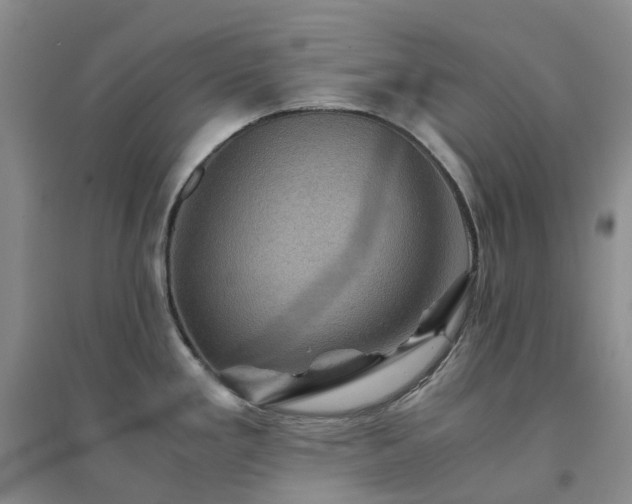 X0000094451293200711151419