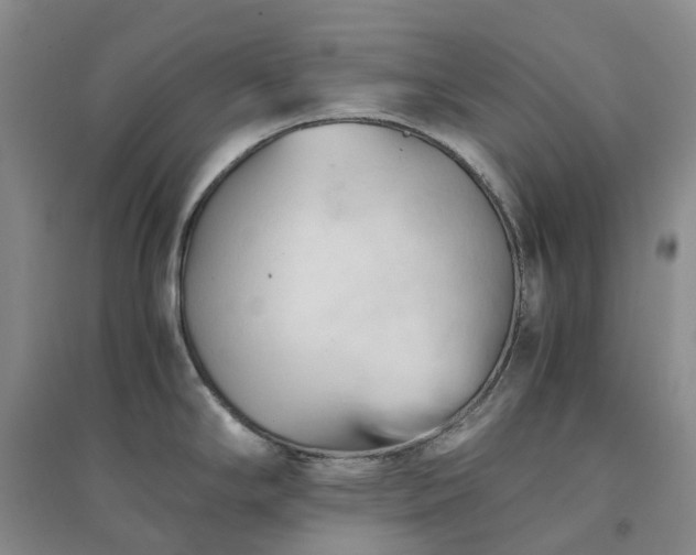 X0000094451294200711151419