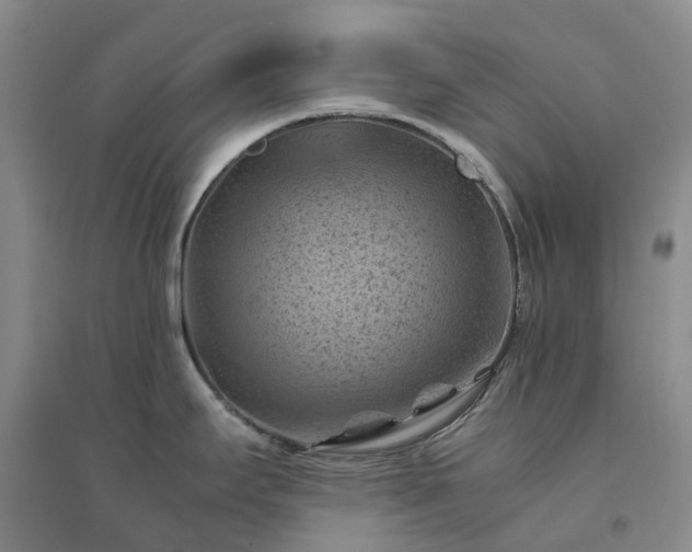 X0000094451295200711151419