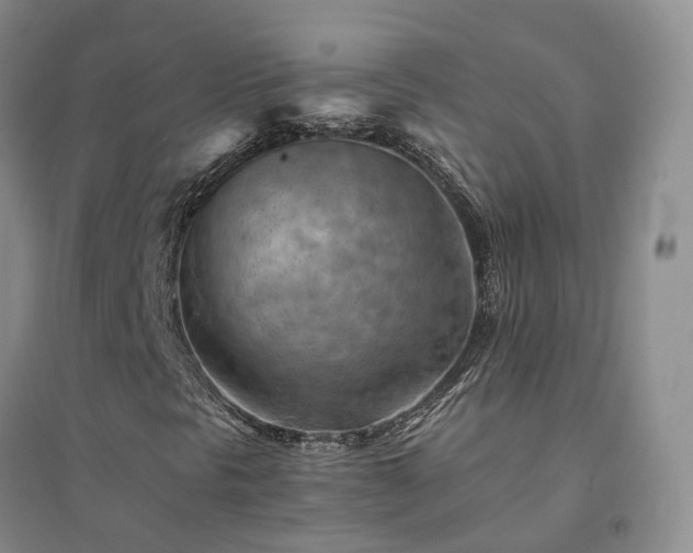 X0000094451297200711151418