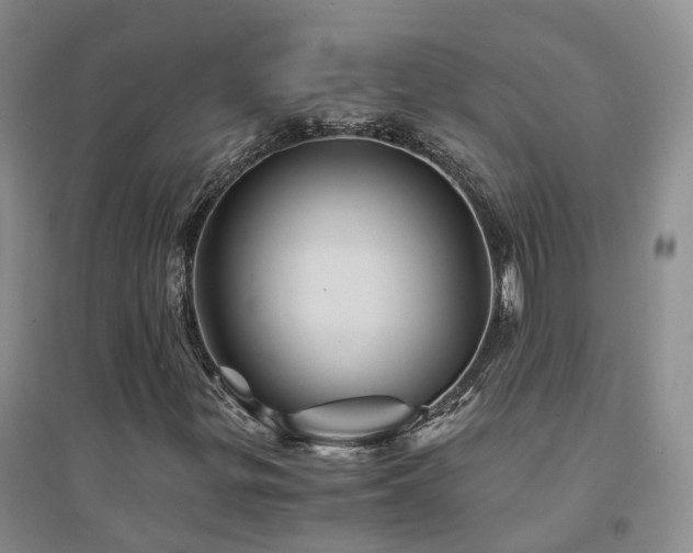 X0000094451299200711151418