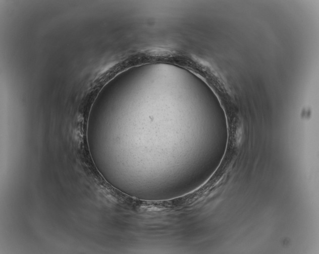 X0000094451301200711151418