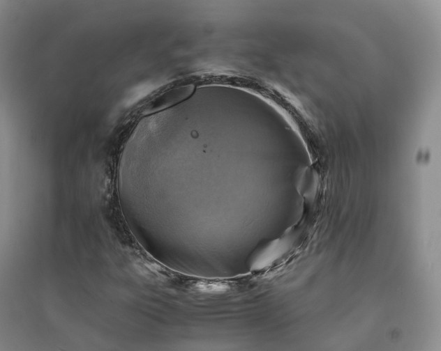 X0000094451303200711151418