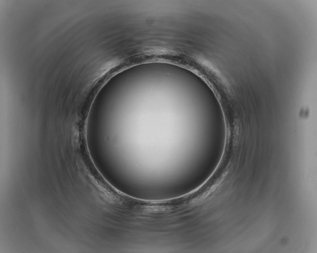 X0000094451305200711151418
