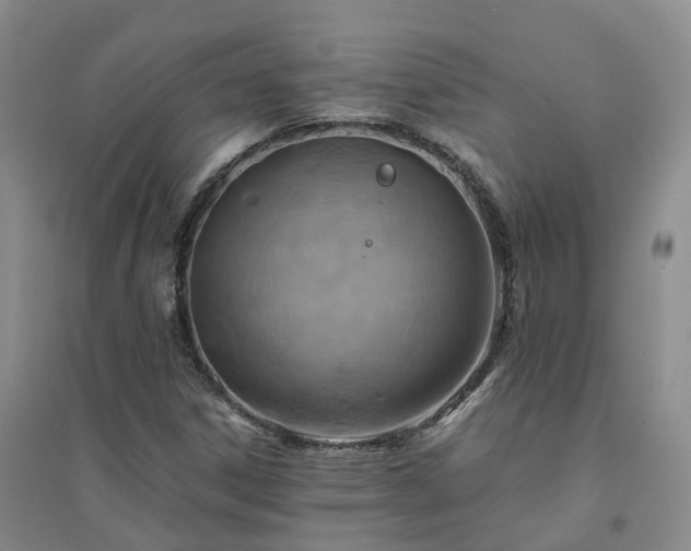 X0000094451306200711151418