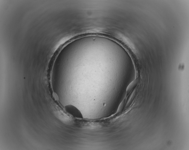 X0000094451308200711151418