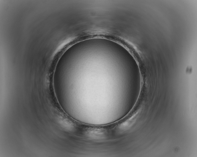 X0000094451309200711151418