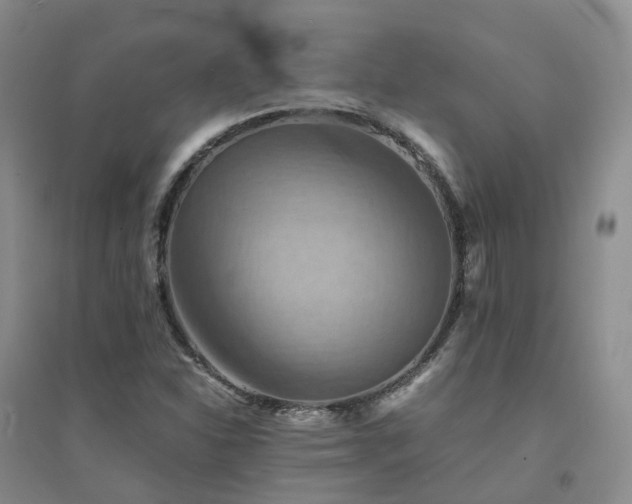 X0000094451310200711151418
