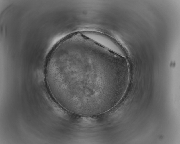 X0000094451312200711151418