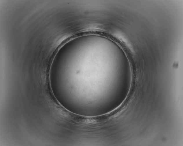 X0000094451313200711151418
