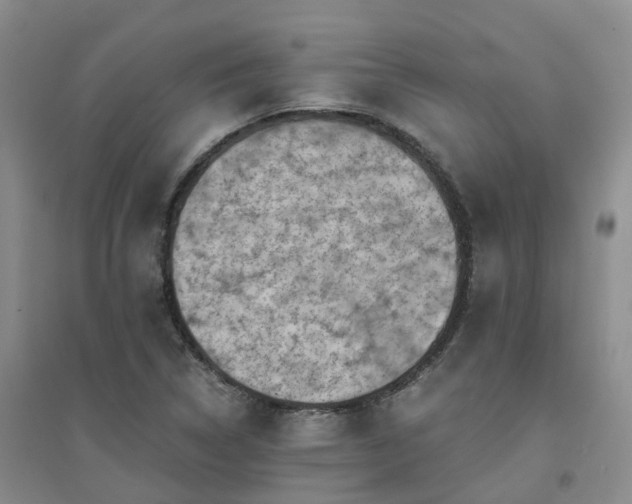 X0000094451314200711151418
