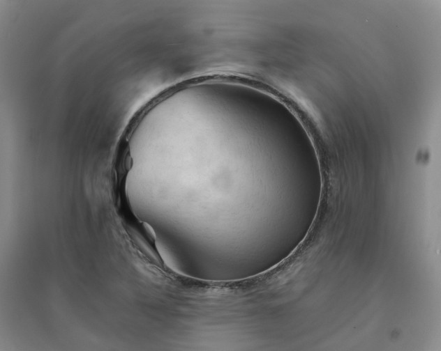 X0000094451316200711151418