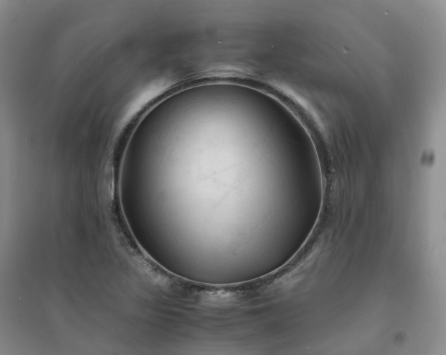 X0000094451317200711151418