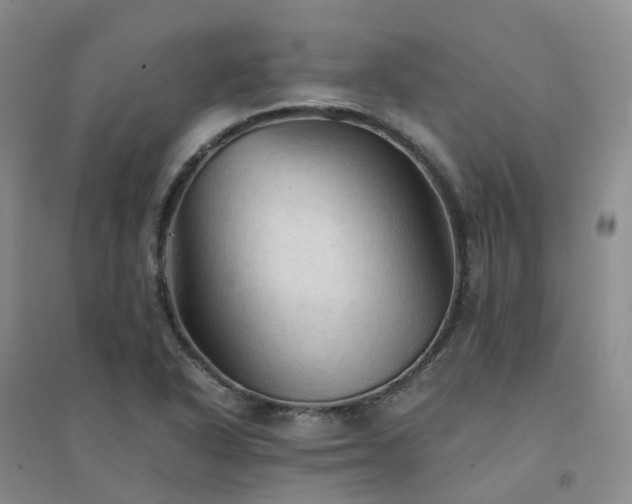X0000094451318200711151418
