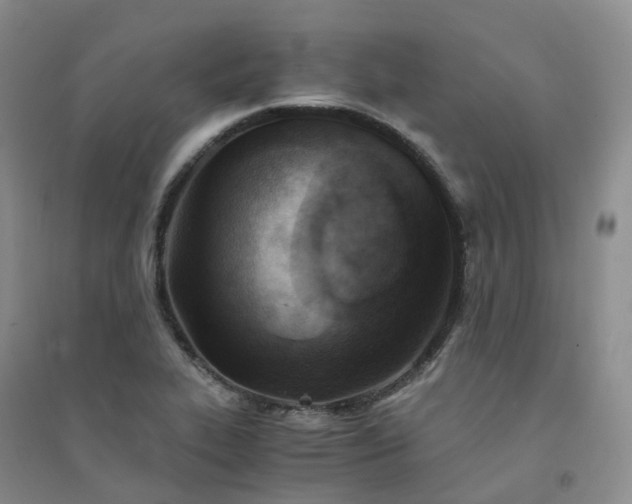 X0000094451319200711151418