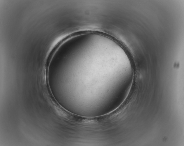 X0000094451320200711151418
