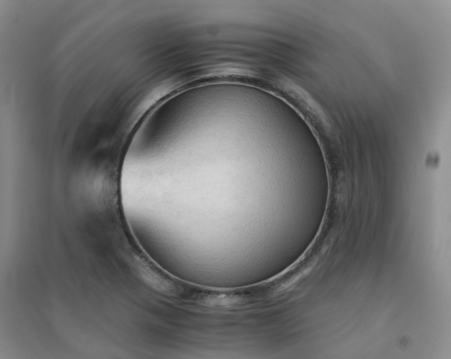 X0000094451321200711151418