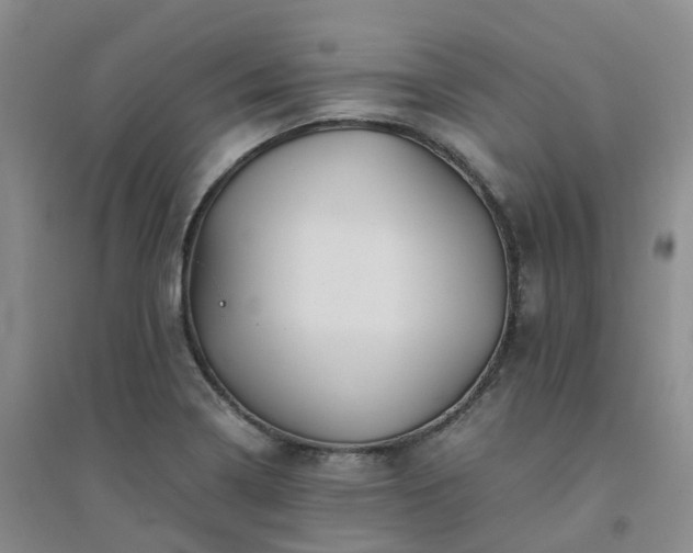 X0000094451322200711151418