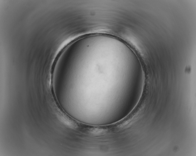 X0000094451324200711151419