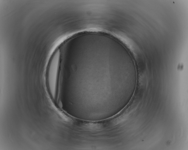 X0000094451327200711151419