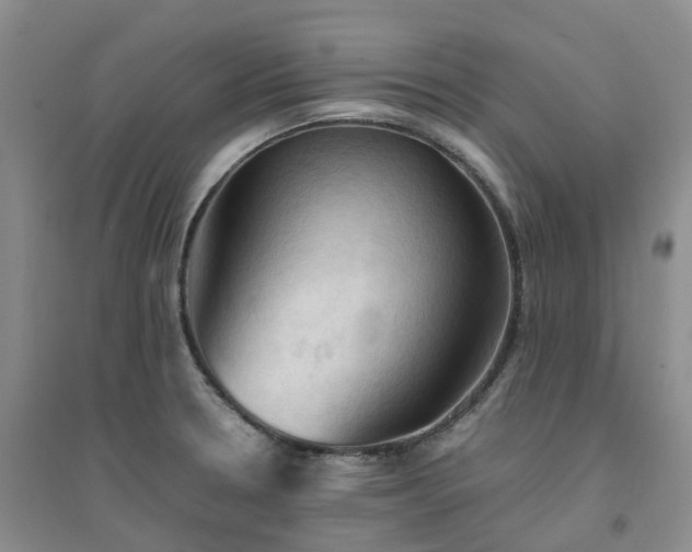 X0000094451330200711151419