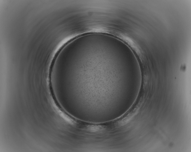 X0000094451331200711151419