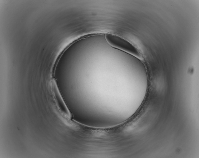 X0000094451332200711151419