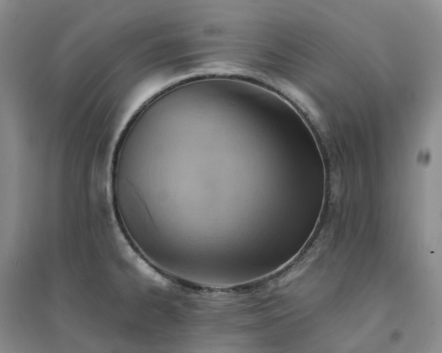 X0000094451334200711151419