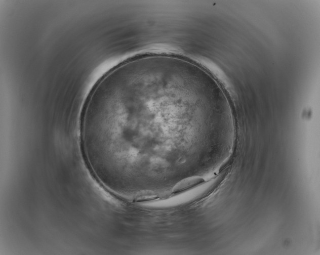 X0000094451335200711151419