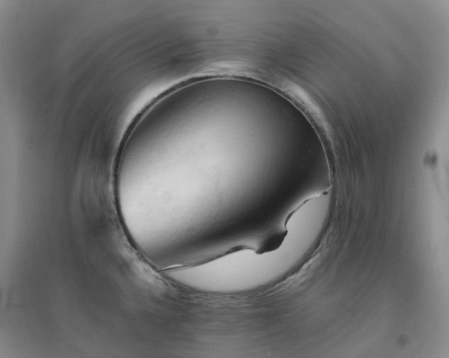 X0000094451336200711151419
