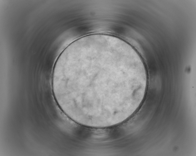 X0000094451338200711151419