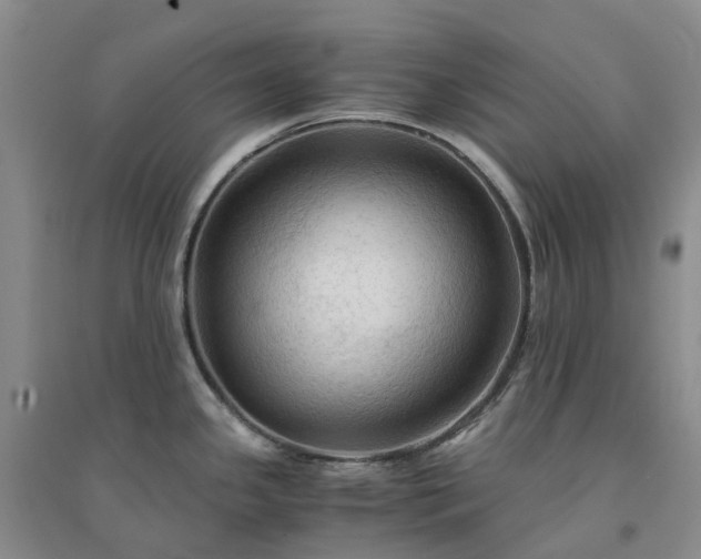 X0000094451341200711151419