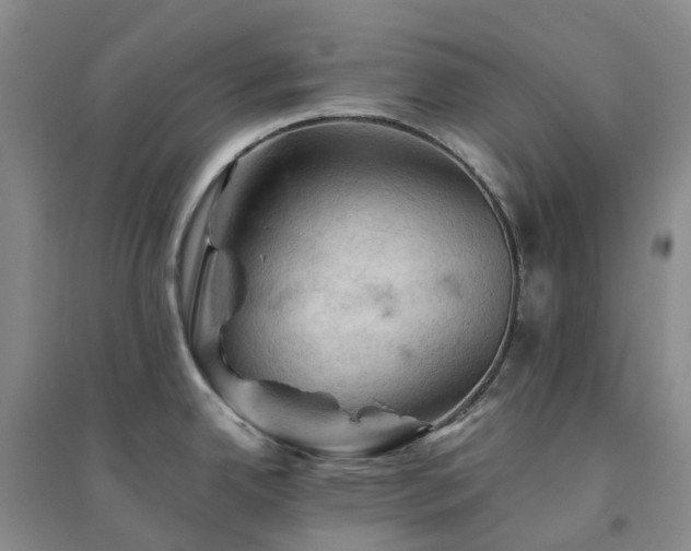 X0000094451342200711151419