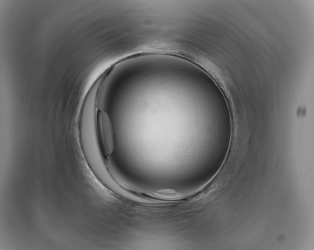 X0000094451344200711151419