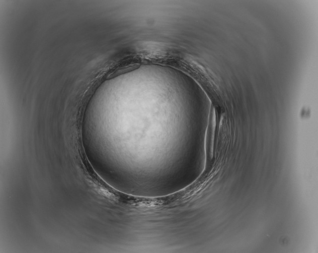 X0000094451345200711151418