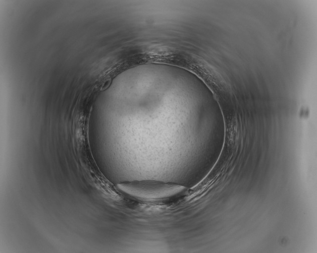 X0000094451346200711151418