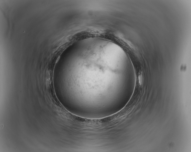 X0000094451347200711151418