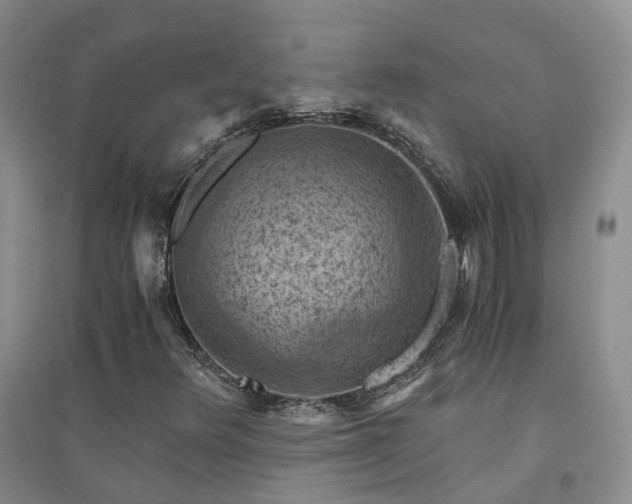 X0000094451348200711151418