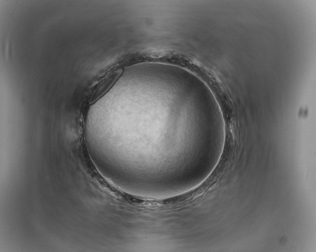 X0000094451349200711151418