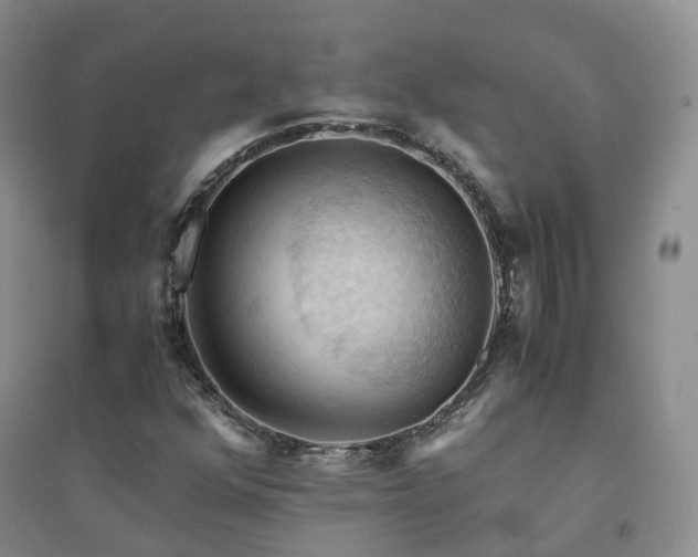 X0000094451352200711151418