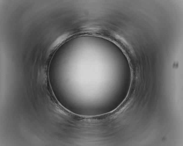 X0000094451354200711151418