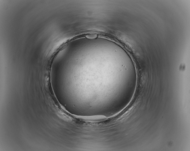 X0000094451355200711151418