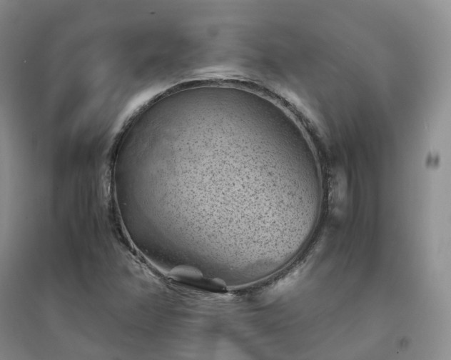 X0000094451358200711151418