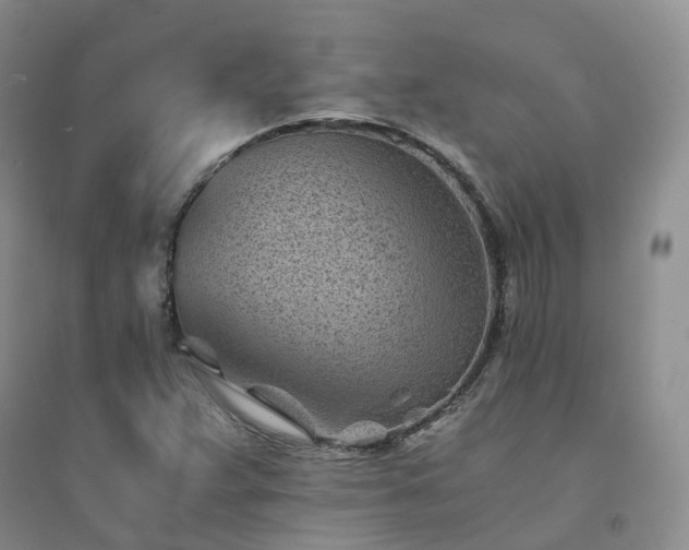 X0000094451359200711151418