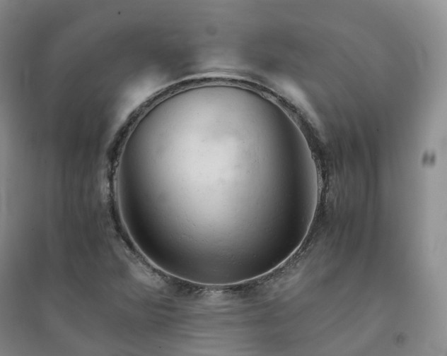 X0000094451360200711151418