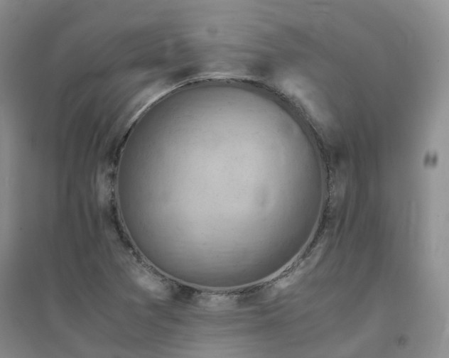 X0000094451361200711151418